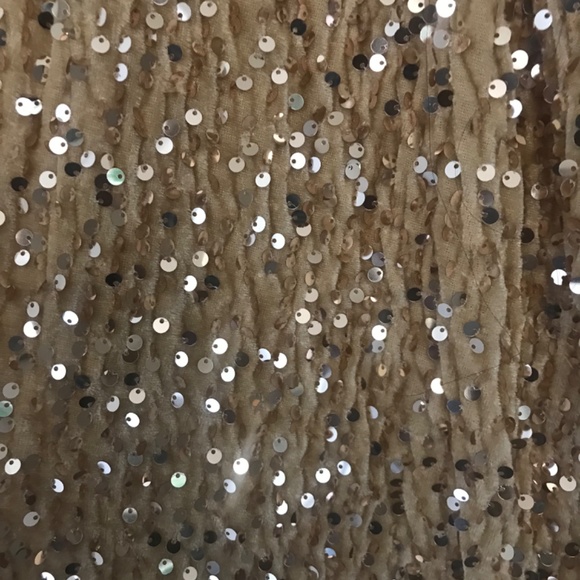 Champagne Gold Sequin Gown - Picture 3 of 5